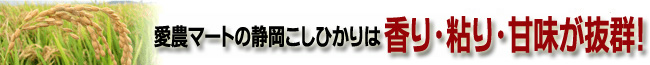 愛農マートの静岡こしひかりは香り・粘り・甘味が抜群！