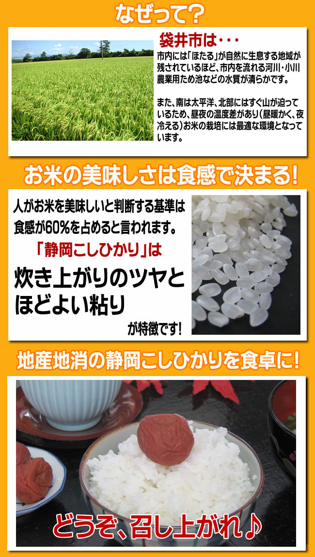 お米の美味しさは食感で決まる！地産地消の静岡こしひかりを食卓に！