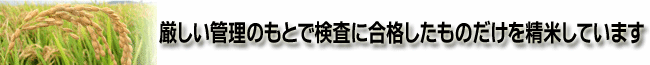 厳しい管理のもとで検査に合格したものだけを精米しています